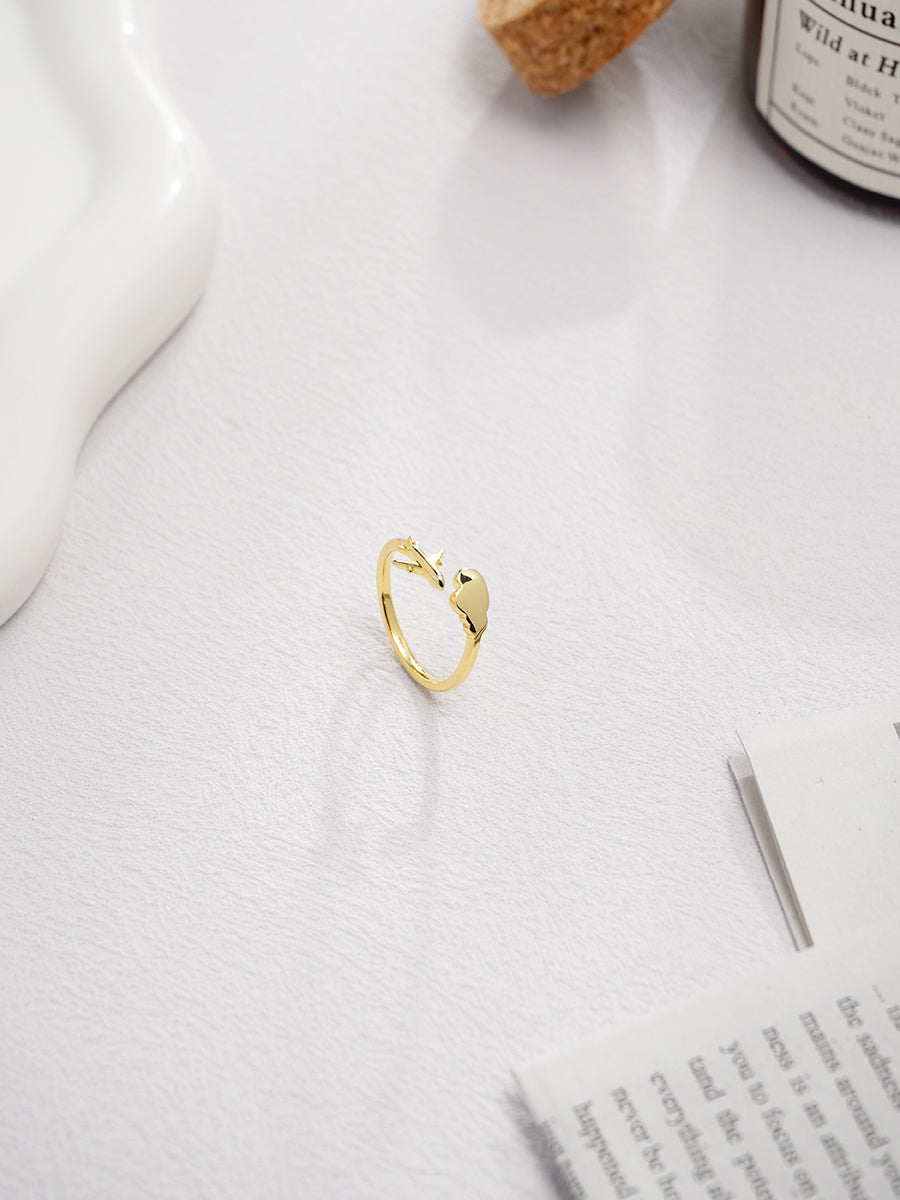 Skyward Bound Ring PR001